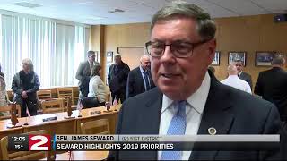 Sen. Seward lays out 2019 priorities, calling for 'real solutions' budget