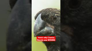 Christian DESTROYS Darwinian Evolution #shorts