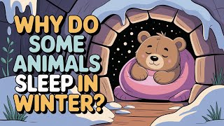 Why Do Some Animals Sleep in Winter | Hibernation Explained | Bedtime Story Learning for Kids