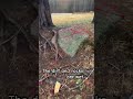 S1 ep2 daily weather and life 12/30/24