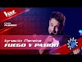 Teamsoledad  ignacio pereira  fuego y pasin  playoffs  la voz argentina 2022