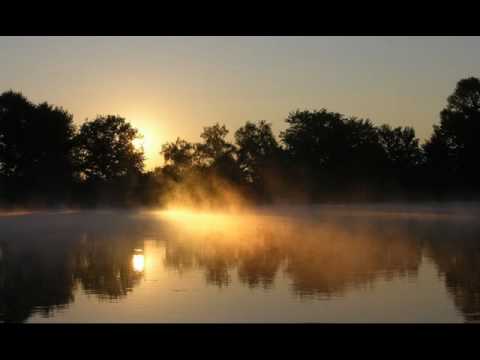 БоБРы - Туман