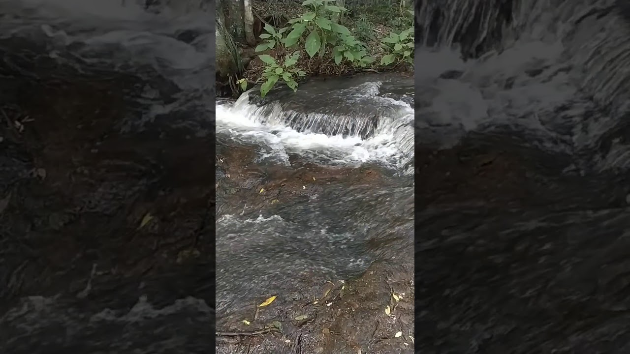 EXPLORANDO TRILHAS E CACHOEIRAS -PILOTO.