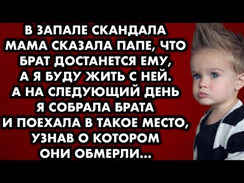 В запале скандала мама сказала папе, что брат достанется ему, а я буду жить с ней. А на следующий…