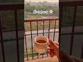 #chai lovers ❤️ #views