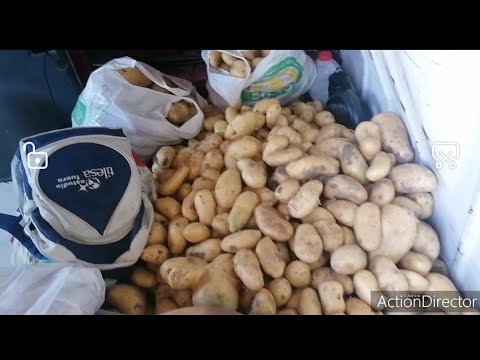 جولة اليوم حول البحت عن العمل في اشبيليا