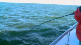 Black Fish Slaughter on The Hampton Lady