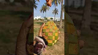 #fruit #mango #food #villagelife #comedy #tanding #viral #stitch #funny #fun #randoms #bellylaughs