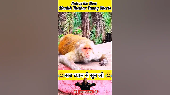 #comedy #funny #youtubeshorts #trending #viral #shorts #video #monkeycomedy #funnymemes