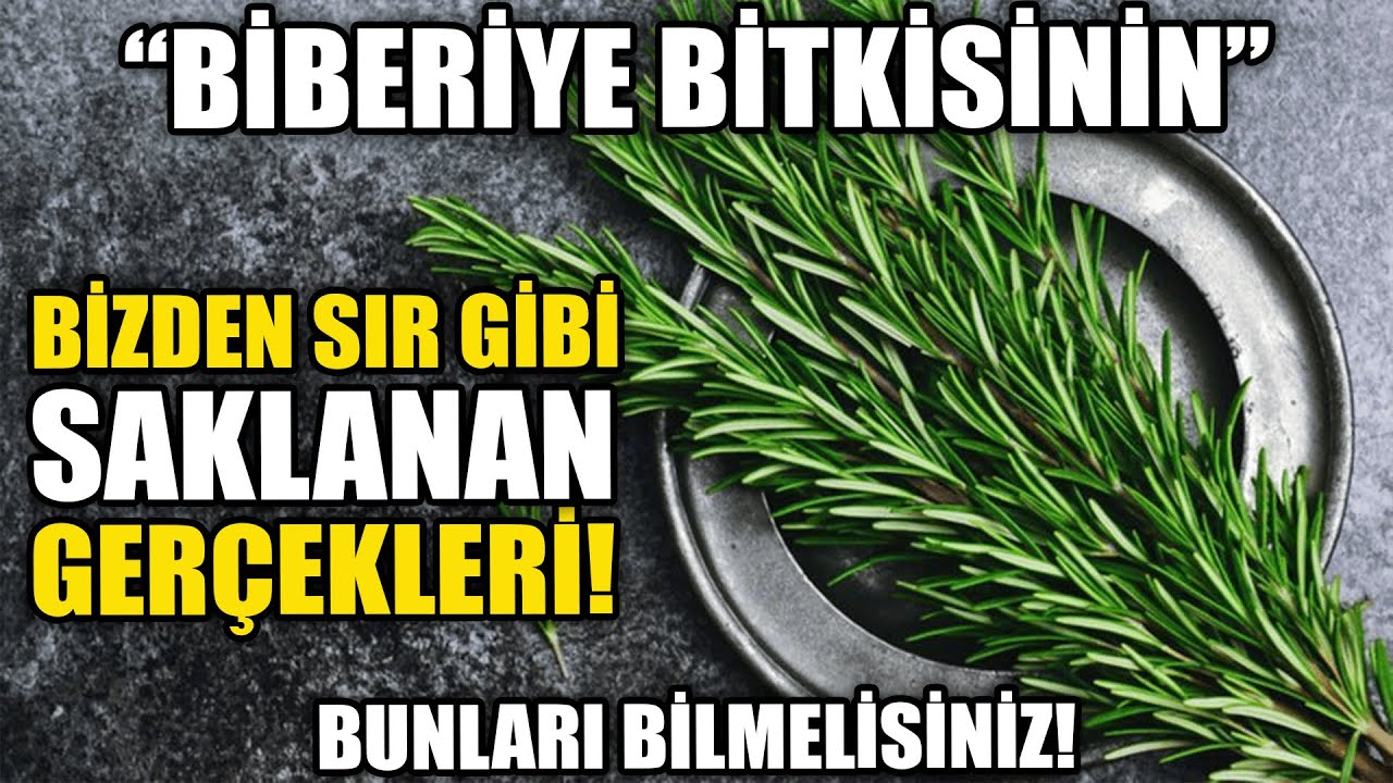Biberiyenin Bizden Gizlenen Sır Gibi Gerçekleri!