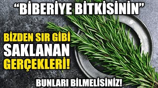 Biberiyenin Bizden Gizlenen Sır Gibi Gerçekleri!