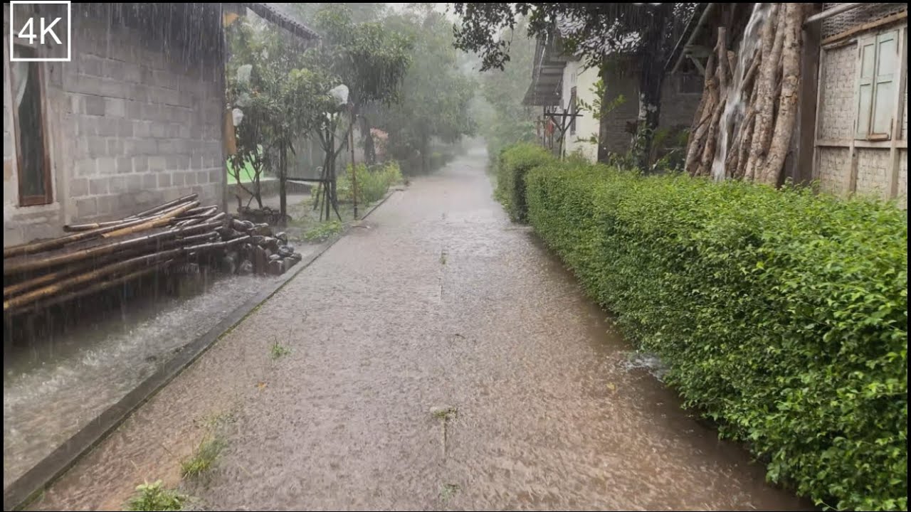 Walking in Heavy Rain with ASMR Rain Sounds / CUBN