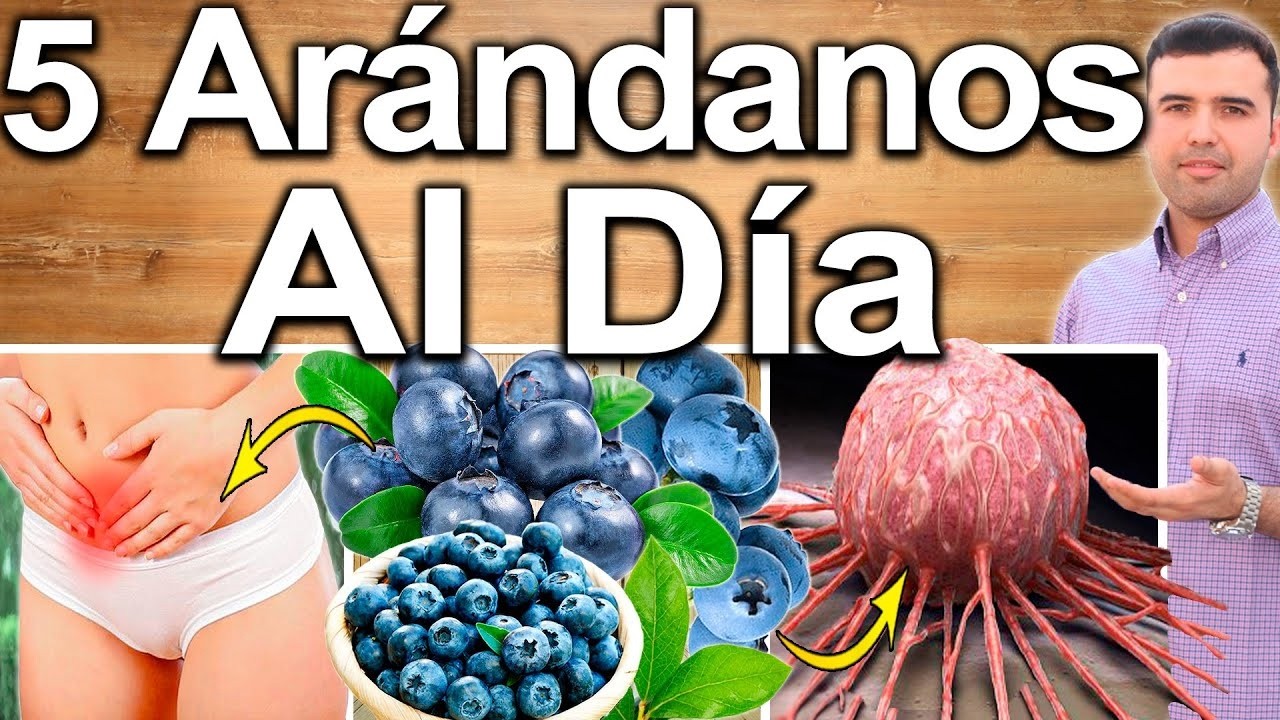 5 ARÁNDANOS AL DÍA - ¿Para Qué Sirven? - Beneficios Para Tu Salud Y Belleza