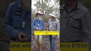 GOLD with the AlgoForce E1500 Plus Metal Detector | In-stock at Miners Den Mitcham and Bendigo Now