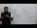 TRNA । tRNA (ट्रांसफर RNA): प्रोटीन संश्लेषण की महत्वपूर्ण कड़ी