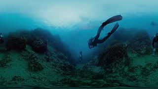 Explore Kaneohe Bay with NASA's CORAL scientists