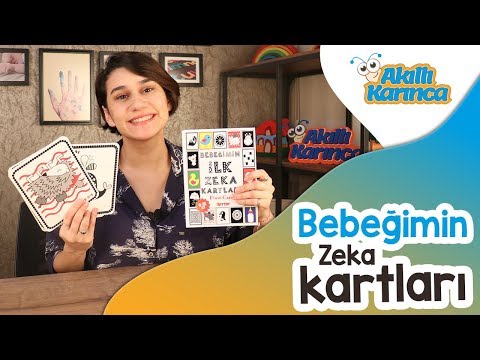 Dıytoy Bebeğimin İlk Zeka Kartları - Akıllı Karınca