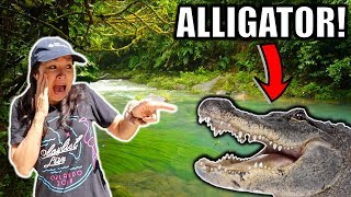 Remote Controlled ALLIGATOR PRANK on Mom!