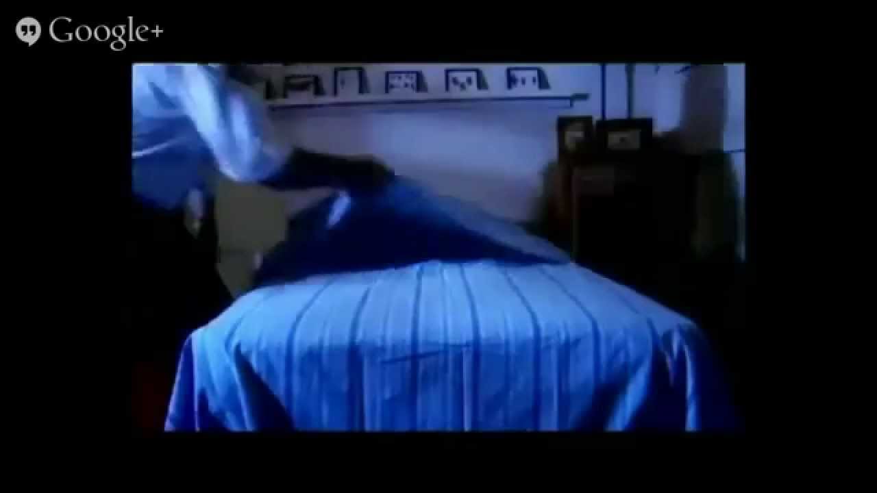 Bed Bugs in Chicago Chicago Bed Bugs Bed Bugs Chicago YouTube