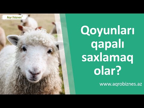 Video: Yarım qapalı pirsinq necə açılır?