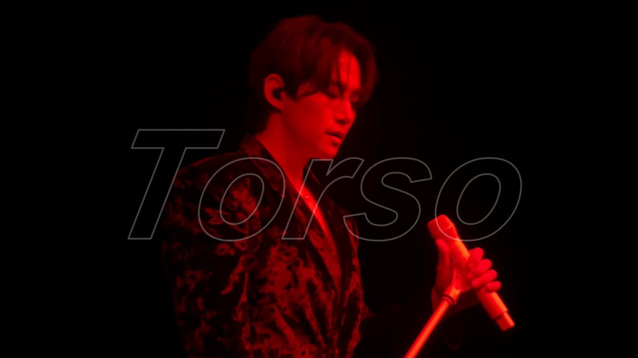 [250125~0126] 2025 이준호 FAN-CON 〈Midnight Sun〉 in INCHEON | Torso 직캠