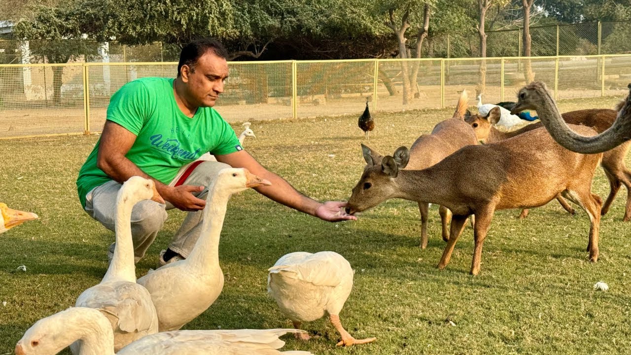 Biggest zoo in the world - You Never See the Biggest Zoo Like This