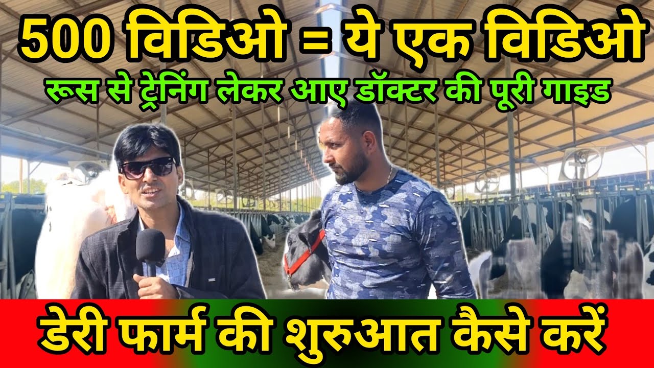 👉पंजाब के एक्सपर्ट डॉक्टर ने बताया – डेयरी फार्म की सही शुरुआत का फॉर्मूला (@SandeepDixitDairyFarm) 
