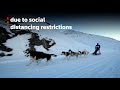 A dog sled race in the French Alps