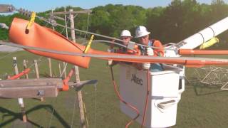 Celebrity Selfie - Picture Yourself in the IBEW Net Worth