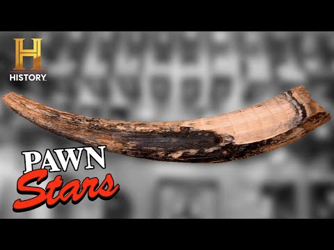 Pawn Stars: HUGE RISK = HUGE REWARD for 10,000-Year-Old Mastodon Tusk (Season 7)