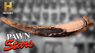 Pawn Stars: HUGE RISK = HUGE REWARD for 10,000-Year-Old Mastodon Tusk (Season 7)