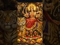kahi Jai Jai Maharani ki Jai durge asth bhawani ki 🙏..Jai Maa Vaishnodevi #kalimaa