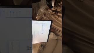 Raggamuffin Aguamarina