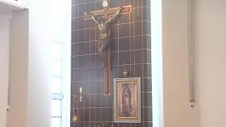 Catholic Mass - XII Sunday in Ordinary Time - 06-21-26 - Our Lady of Guadalupe (8:30 am)