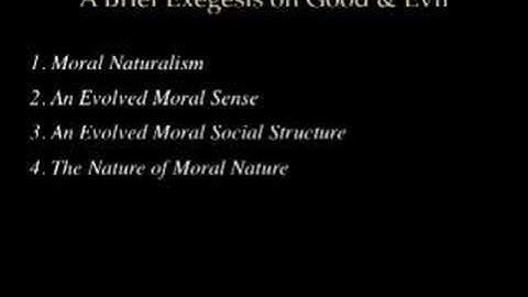 Michael Shermer 1/5 (The Amazing Meeting 2)