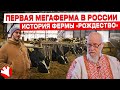 Первая МЕГАФЕРМА в России | История фермы Рождество | КУЛЬТИВАТОР