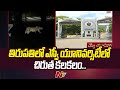 Leopard spotted at SV University Engineering College, in Tirupati