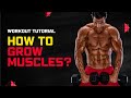 Start Gym Workout personal gym workout plan with complete routine 