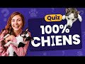 Quiz 100 chiens   30 questions canines