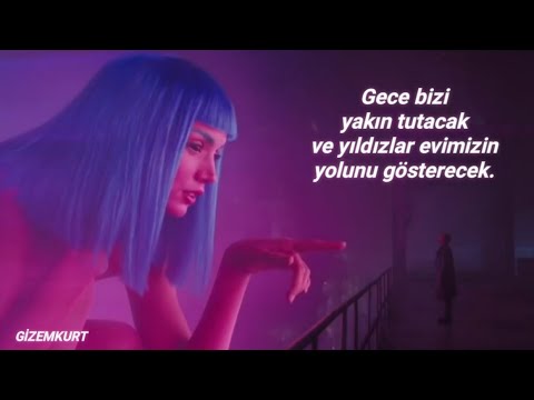 Mr.Kitty - After Dark (Türkçe Çeviri)