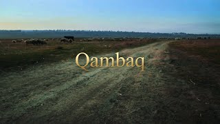 "КАМБАК" (Перекати-поле) - ногайский документальный фильм