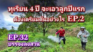 #กวินบินได้ EP.87 ทุเรียน 4 ปี จะเอาลูกปีแรก ต้องดูแลอย่างไรบ้าง #บรรจงลงสวน EP.32