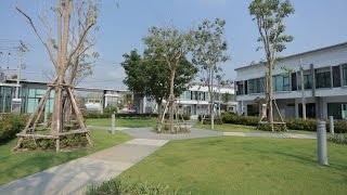 คลิปแนะนำโครงการ T.275 : The Ricco พหลโยธิน - สายไหม
