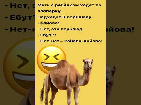 Отправь друзьям смех #юмор #смех #анекдоты