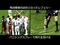 仏レフェリー 現役最後の試合にバニシングスプレーで別れを告げる