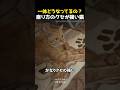 一体どうなってるの？座り方のクセが強い猫