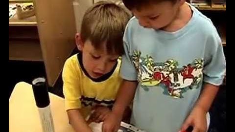 CSEFEL: V3a 8 Tim Support Plan