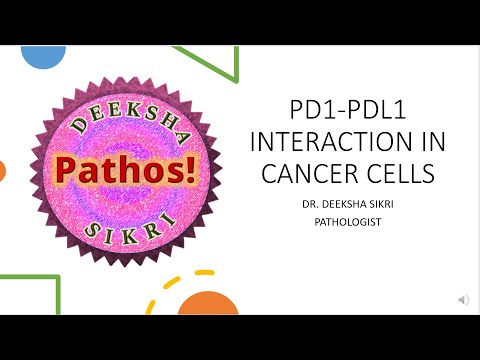 Video: Ekspresi PD-L1 Yang Diinduksi IFN-gamma Dalam Melanoma Bergantung Kepada Ungkapan P53