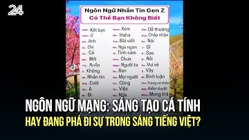 Ngôn ngữ mạng: Sáng tạo cá tính hay đang phá đi sự trong sáng tiếng Việt?  | VTV24