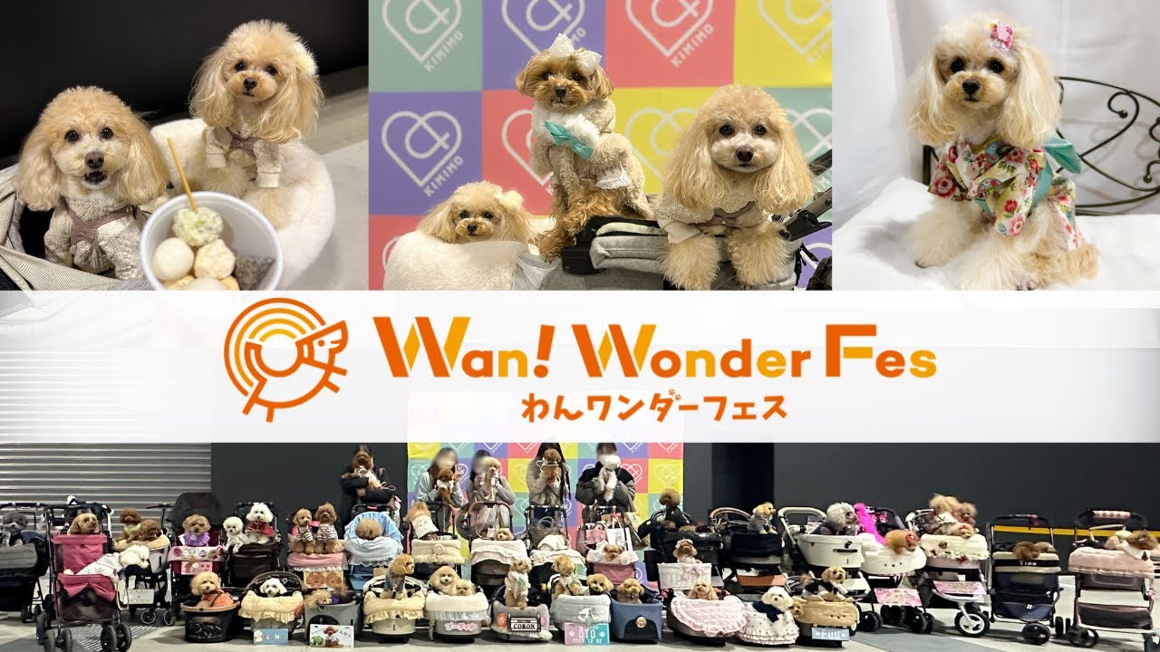 🐶犬用おでんに大発狂!?過去最大規模のわんワンダーフェスに行ってきた🐾